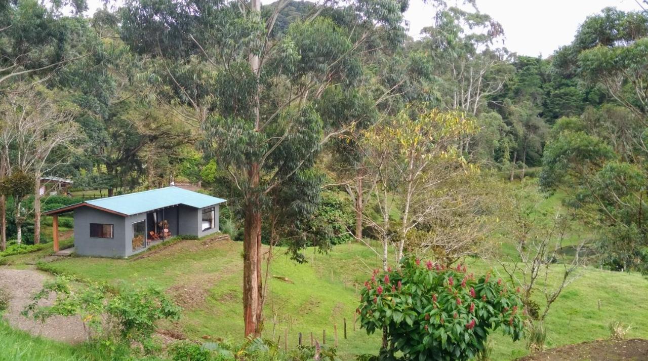 Olingo Monteverde Esterno foto