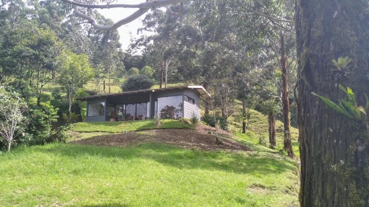 Olingo Monteverde Esterno foto