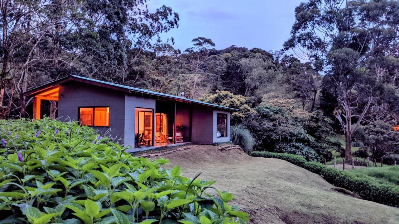 Olingo Monteverde Esterno foto
